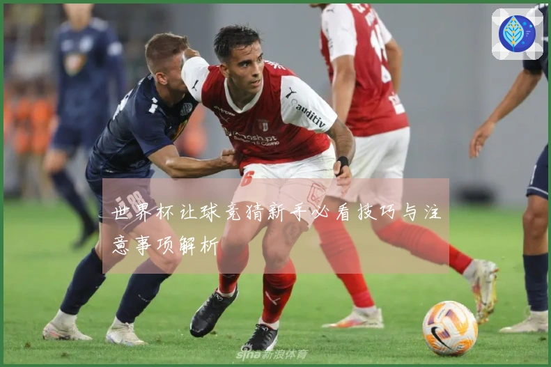 世界杯让球竞猜新手必看技巧与注意事项解析