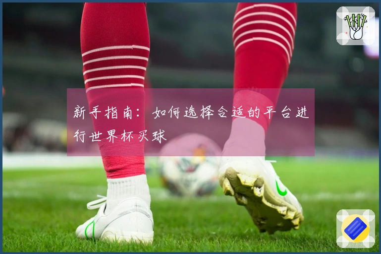 新手指南：如何选择合适的平台进行世界杯买球