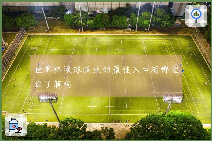 世界杯滚球投注的最佳入口有哪些你了解吗
